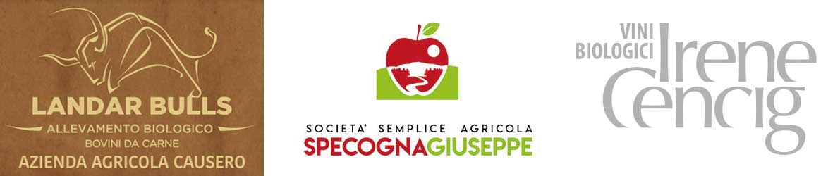 logo causero specpgna cencig